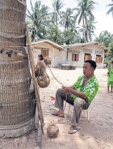 Noi Petchpradab traint een makaak