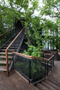 Naiipa Art Complex 2