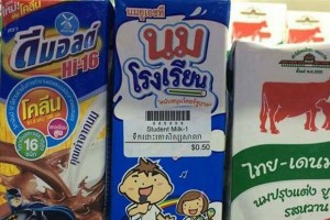 Schoolmelk van de Wang Nam Yen Dairy Cooperative